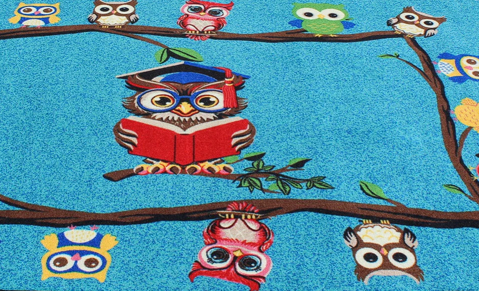 Reading Is A Hoot 6'x9'